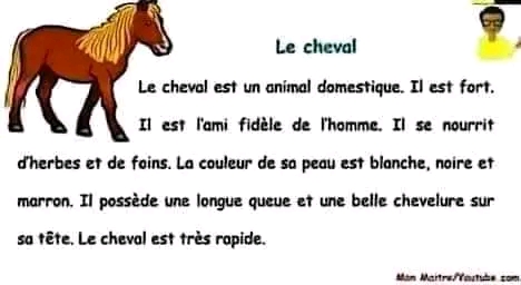 وضعية إدماجية عن حصان بالفرنسية للسنة الخامسة ابتدائي تعبير كتابي عن وصف حصان فرس