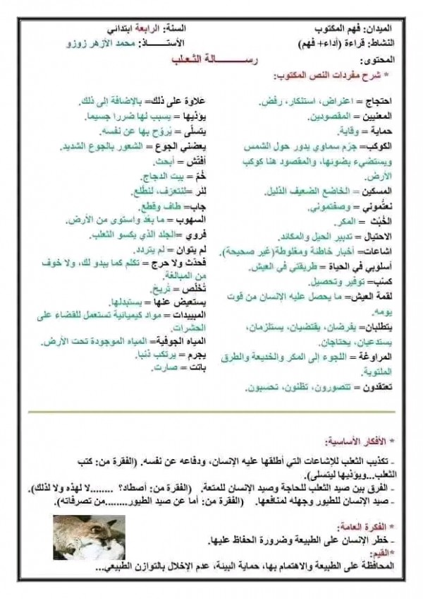 تحضير درس رسالة الثعلب شرح مفردات النص الأفكار الأساسية الفكرة العامة القيم نص رسالة الثعلب رابعة ابتدائي